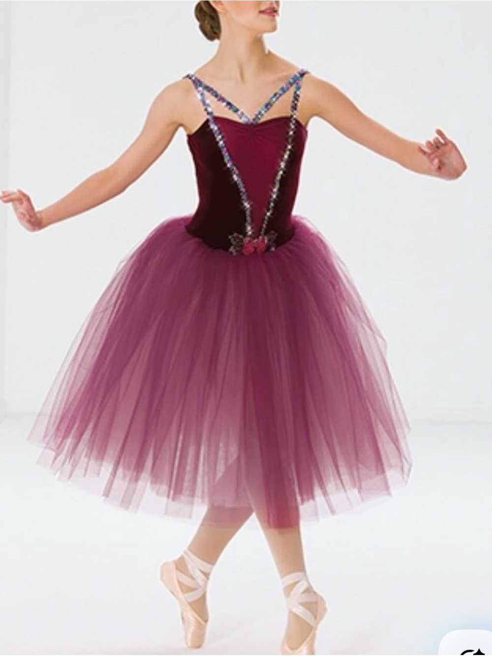 Revolution Wine/Burgundy Tulle Ballet Costume CM